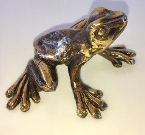 Bronze Frog