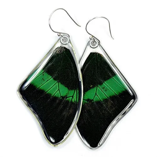 Butterfly Earrings, Emerald Swallowtail, Top Wings