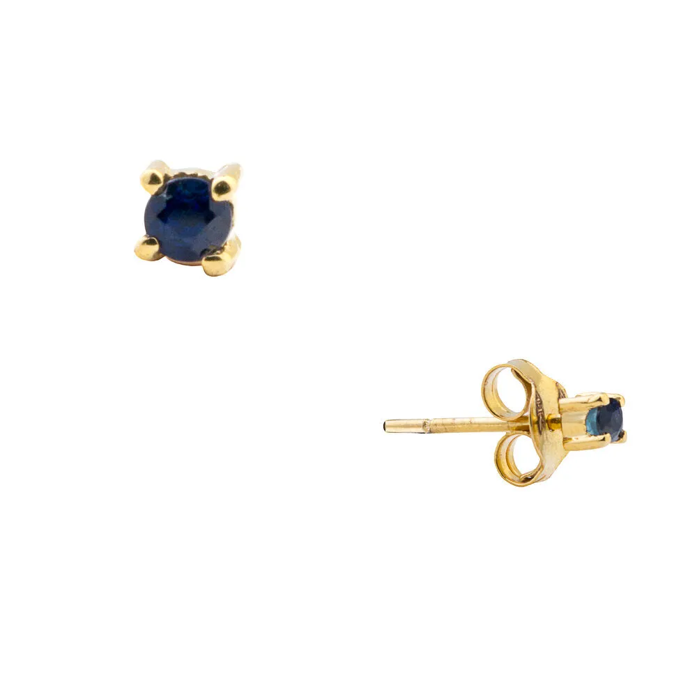 Chloe, Sapphire Studs 14k Gold