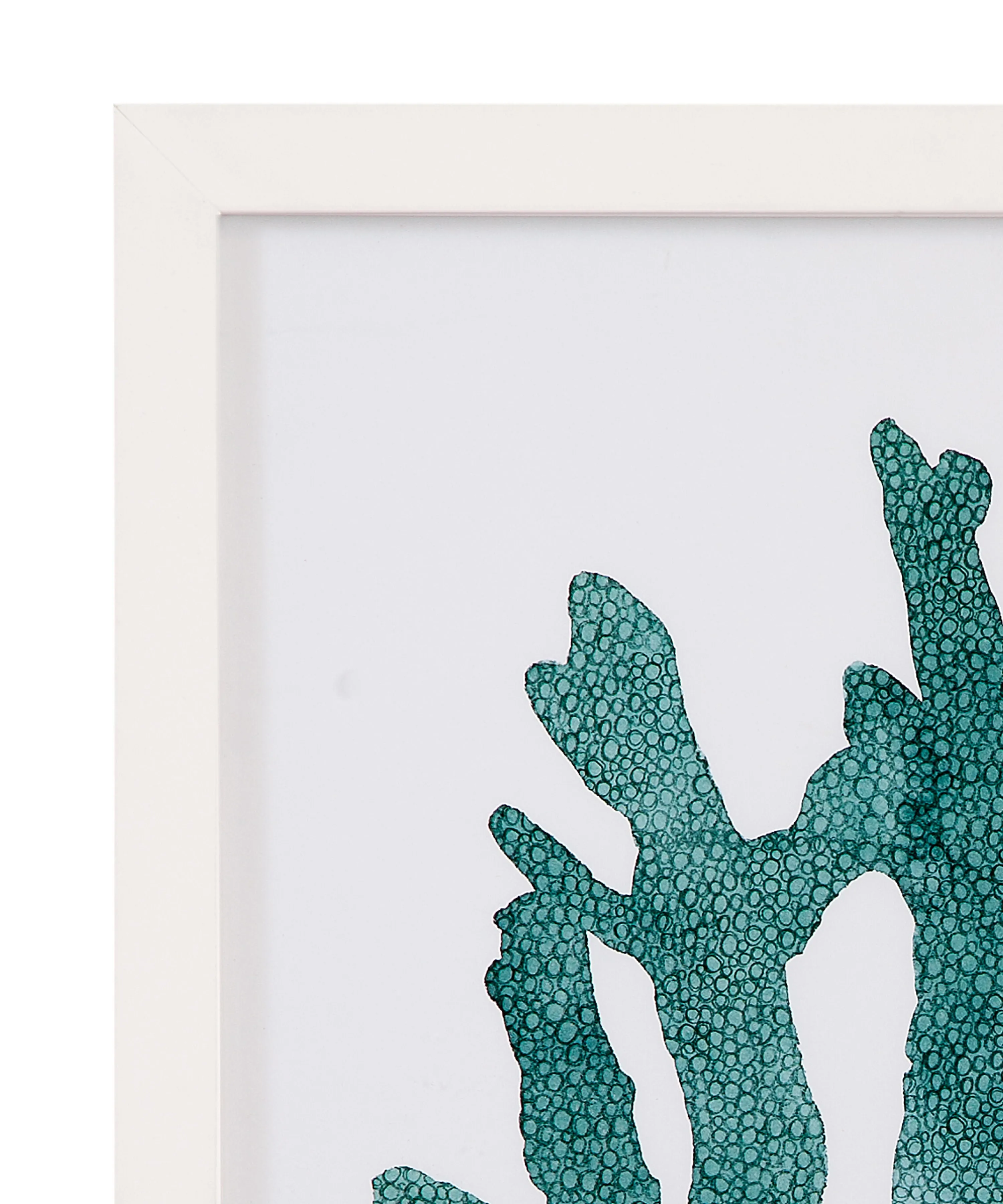 Coral Souvenirs - I Framed Print - Green