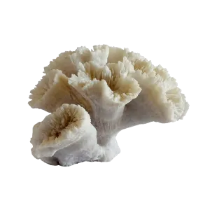 Decorative Synthetic Coral - Sea flower