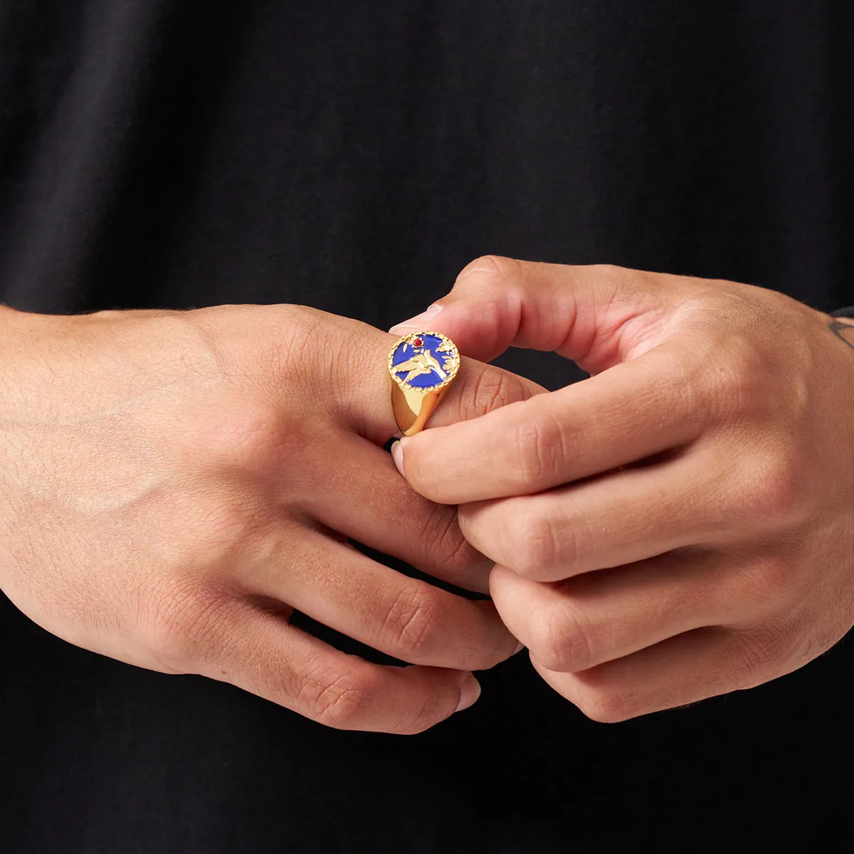 Enamel Swallow Signet Ring (Gold)