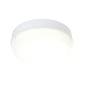 Neptune 16 Watt IP65 LED Luminaire