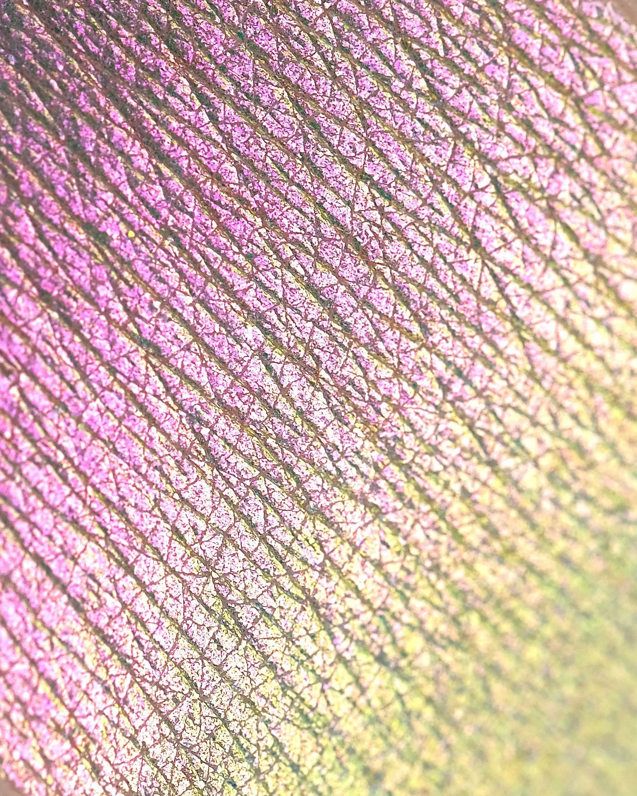 Opal Multichrome Loose Eyeshadows